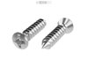 4.8 X 100 PHILLIPS RAISED COUNTERSUNK SELF TAPPING SCREW DIN 7983C H A4 STAINLESS STEEL